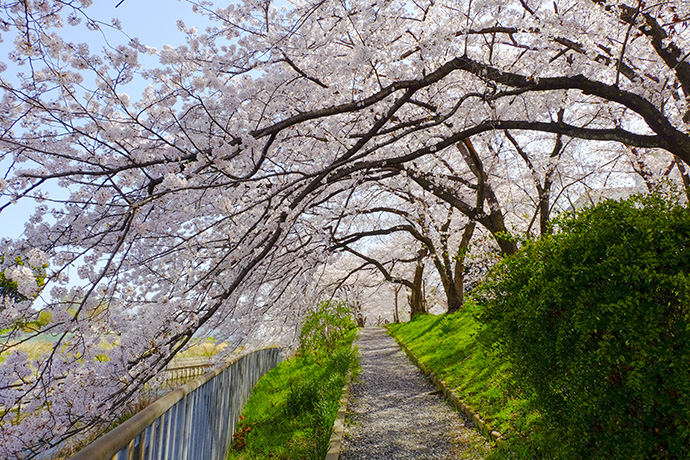 玉川水路